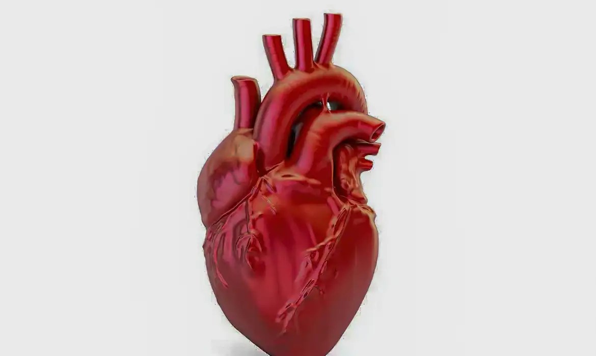 Nova diretriz redefine diagnóstico de infarto e critérios de classificação