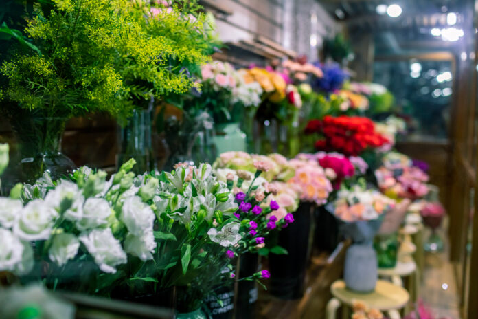 o-significado-das-flores-como-escolher-a-especie-ideal-para-cada-momento